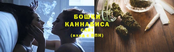 гидра Корсаков